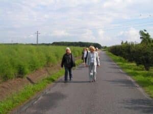Bild 061