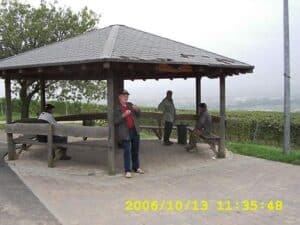 DSCI0009