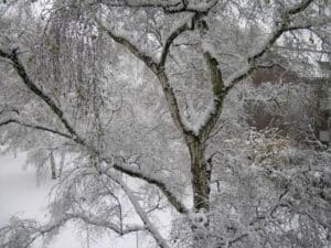 DSCN0108