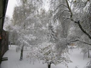 DSCN0109