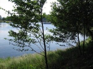 IMG_3346